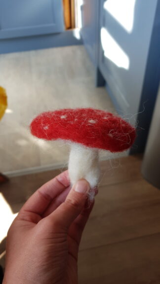 IMG-20211008-WA0009
