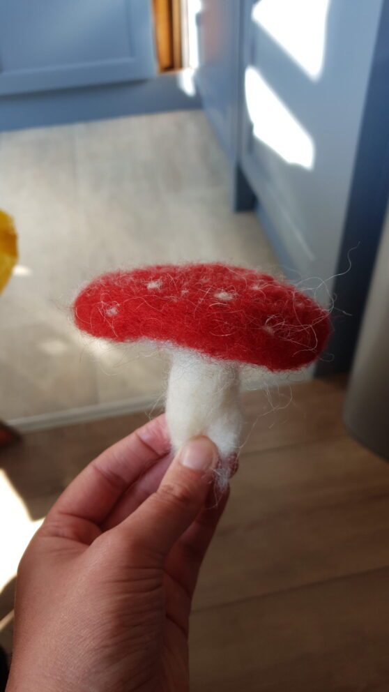 IMG-20211008-WA0009